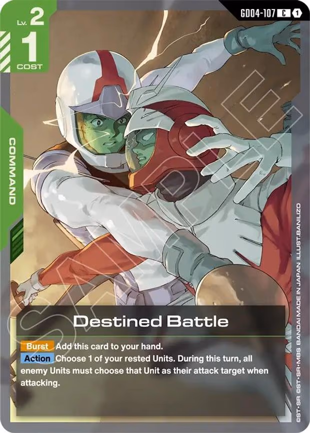 Destined Battle