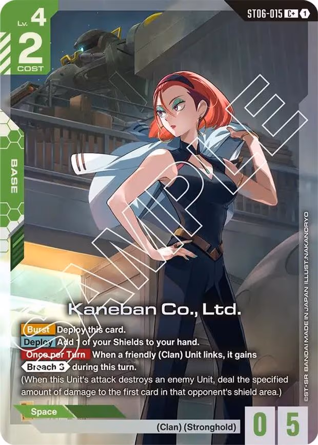 Kaneban Co., Ltd. (C+)