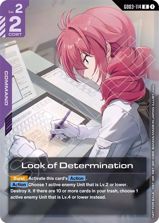 Look of Determination (Newtype Challenge 2026 Mission 2)