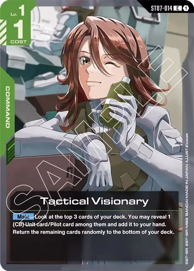 Tactical Visionary