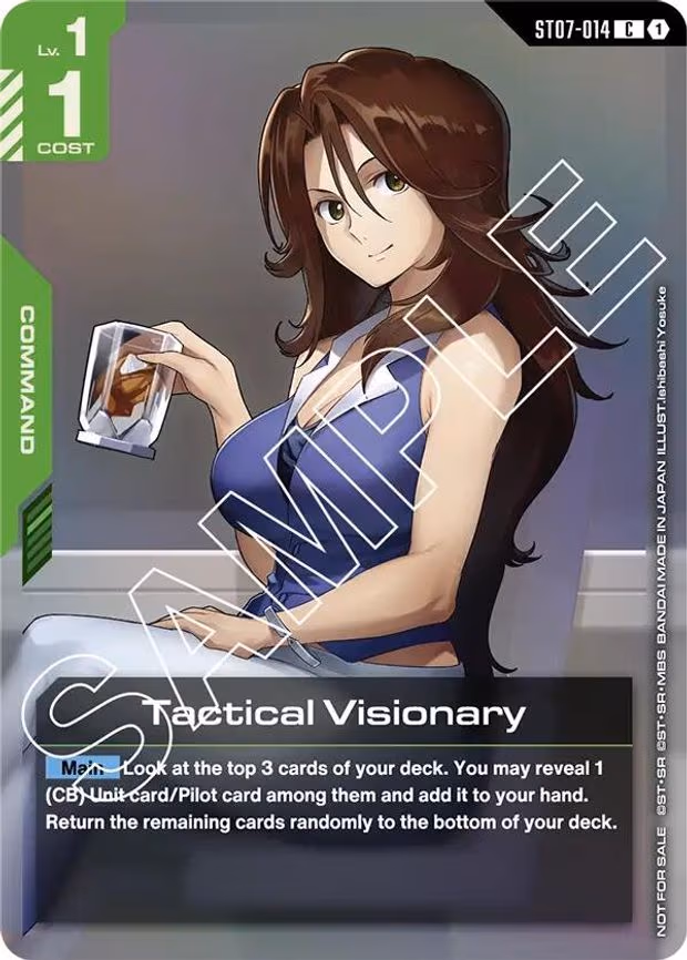 Tactical Visionary