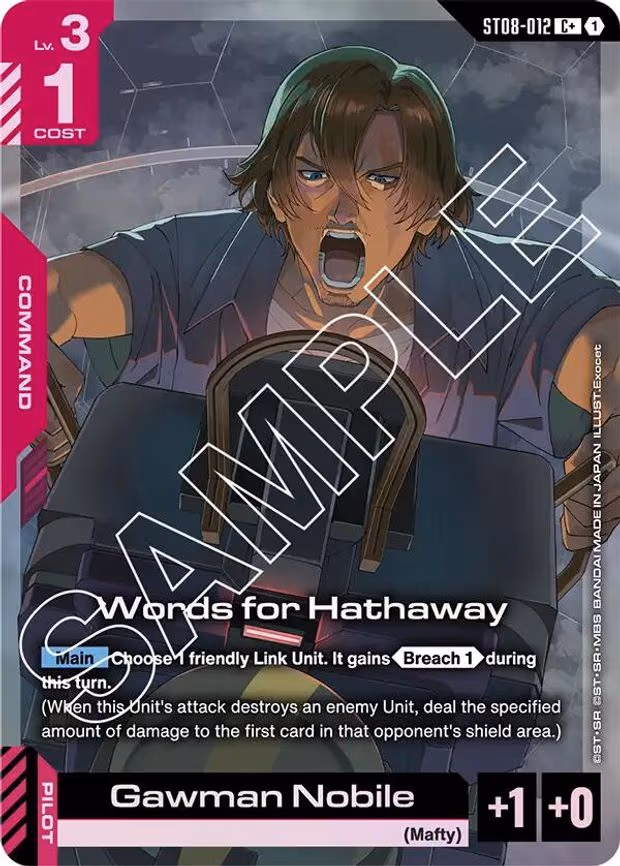 Words for Hathaway (C+) - C+ (ST08-012)