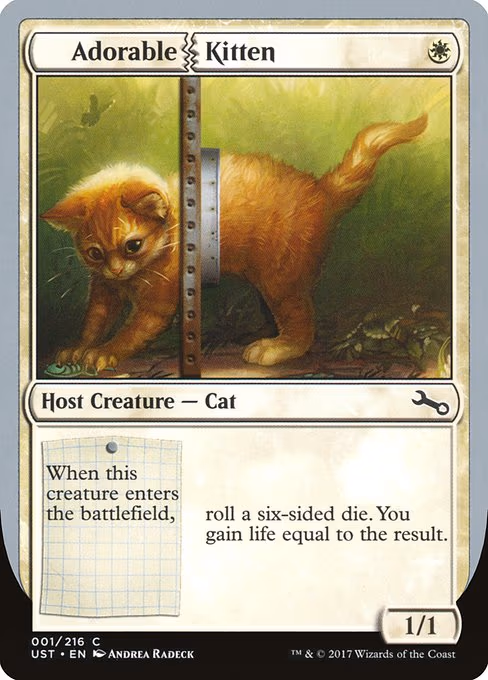 Adorable Kitten