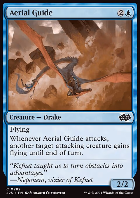 Aerial Guide