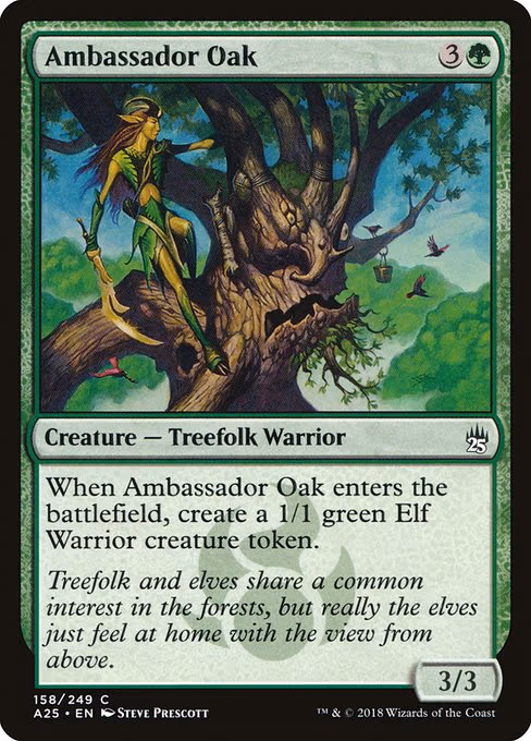 Ambassador Oak
