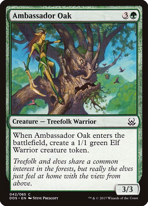Ambassador Oak