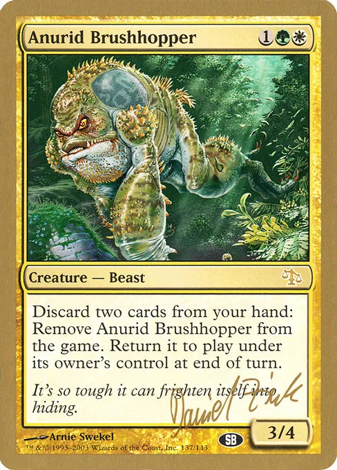 Anurid Brushhopper - 2003 Daniel Zink
