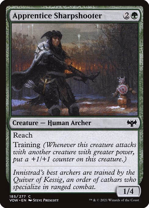 Apprentice Sharpshooter