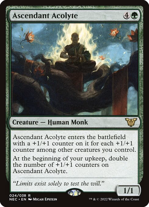Ascendant Acolyte