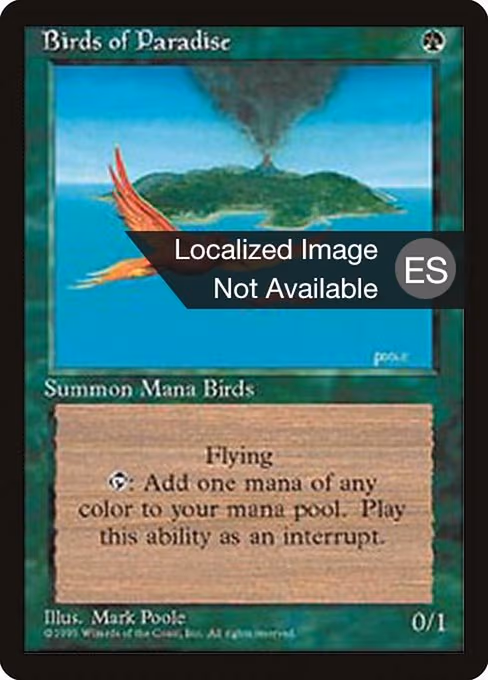 Birds of Paradise