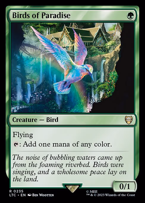Birds of Paradise - R (235)