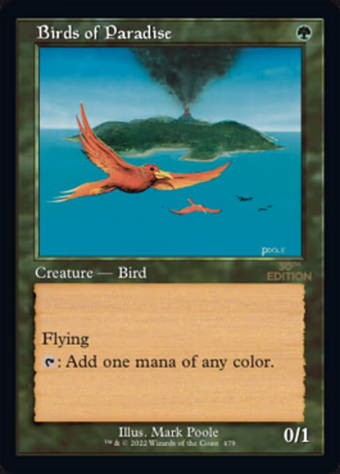 Birds of Paradise (Retro Frame)