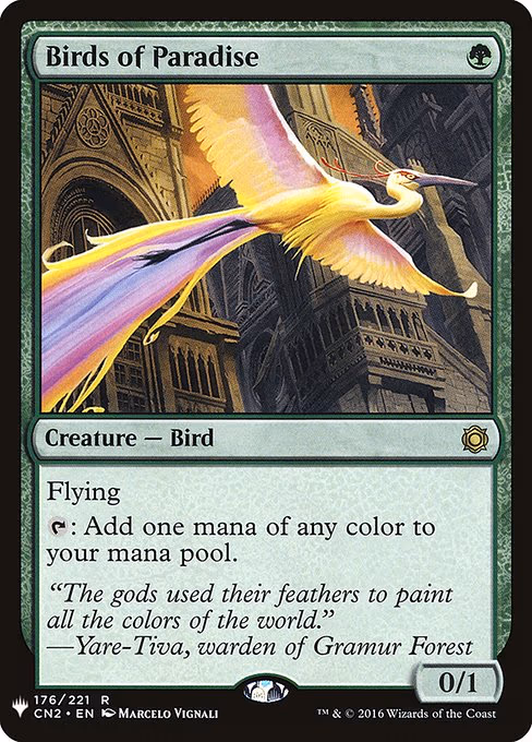 Birds of Paradise - R (176)