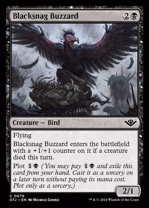 Blacksnag Buzzard - C (79)