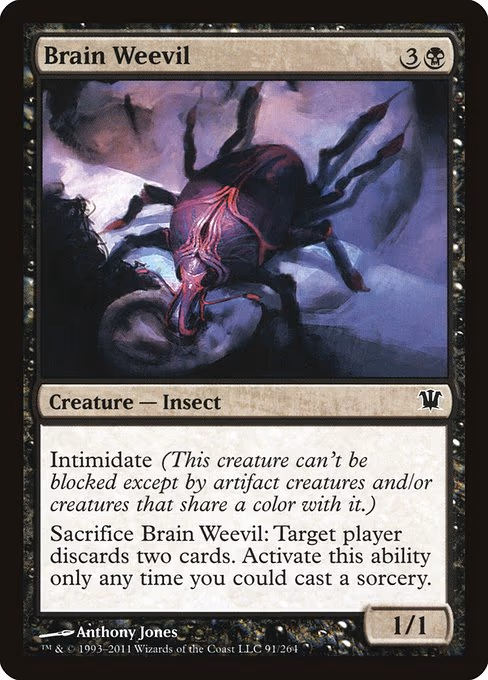 Brain Weevil