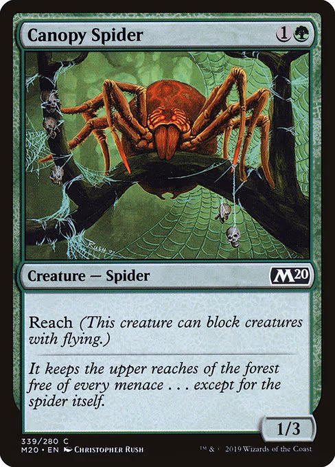 Canopy Spider