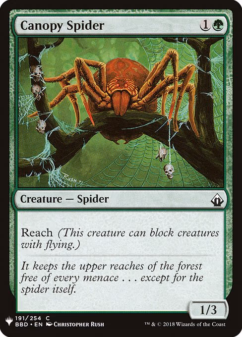 Canopy Spider