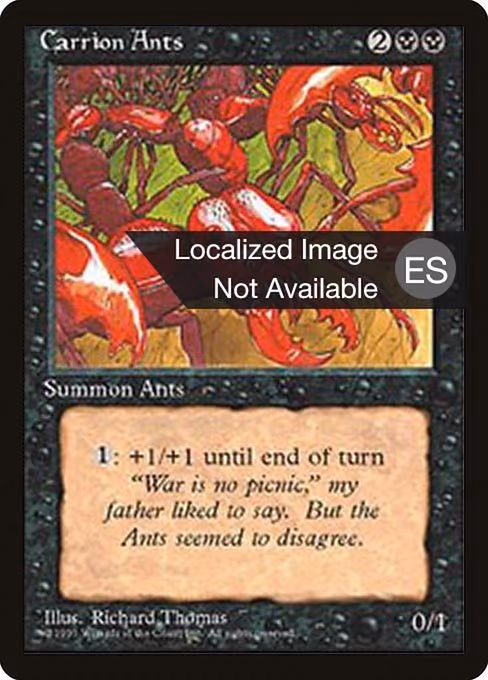 Carrion Ants