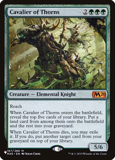 Cavalier of Thorns