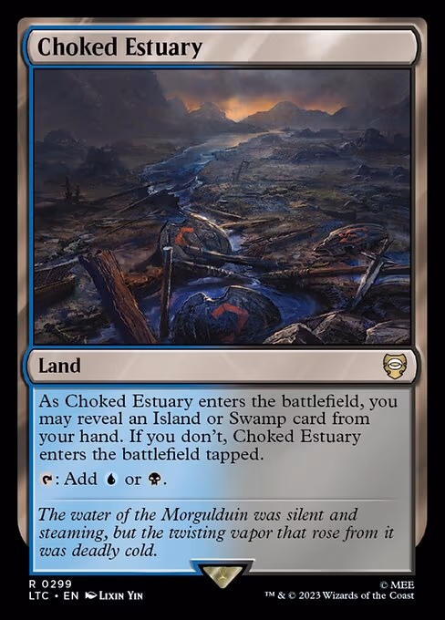 Choked Estuary