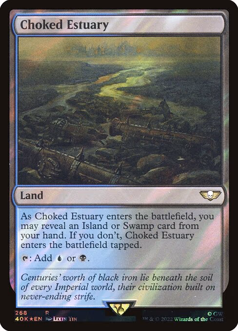 Choked Estuary