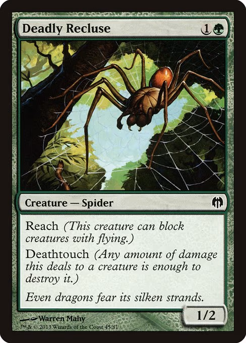 Deadly Recluse
