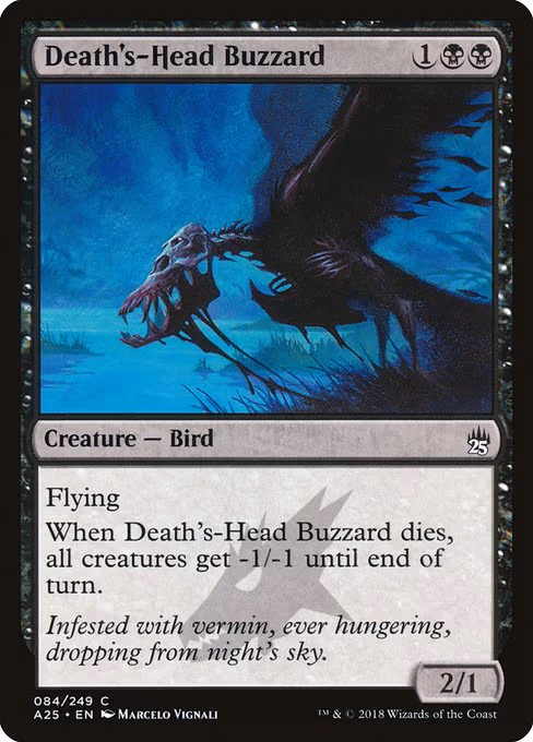 Death's-Head Buzzard