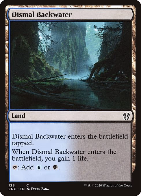 Dismal Backwater