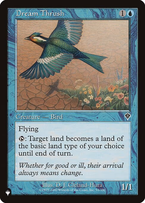 Dream Thrush
