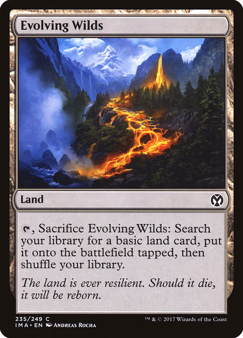 Evolving Wilds