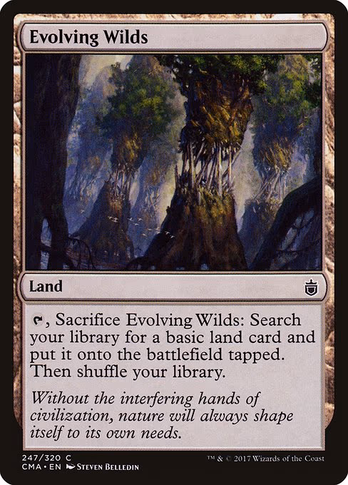 Evolving Wilds - C (247)