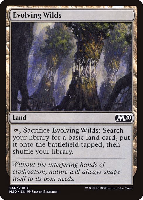 Evolving Wilds - C (246)