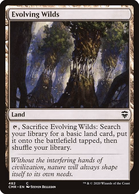 Evolving Wilds - C (482)