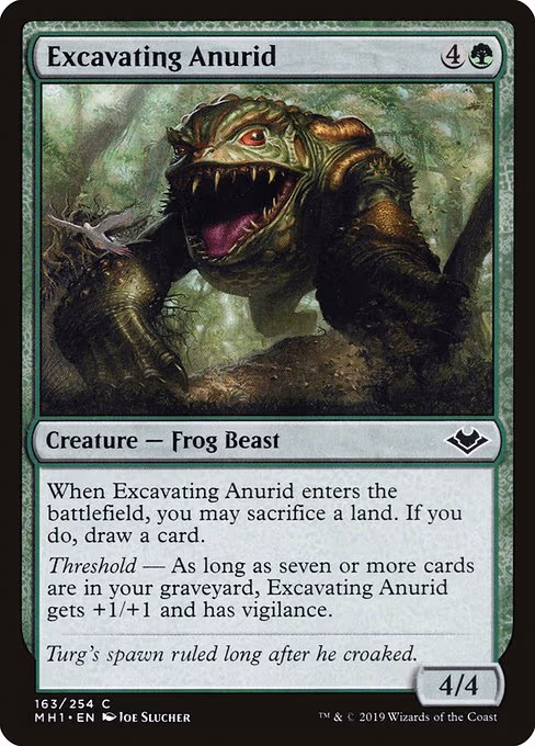 Excavating Anurid