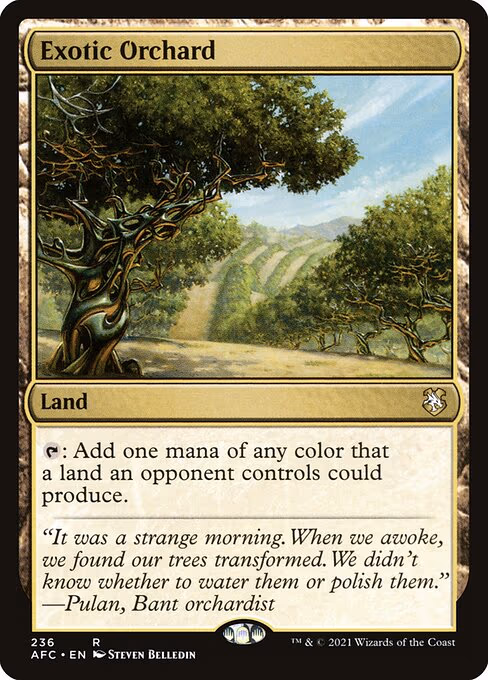 Exotic Orchard - R (236)