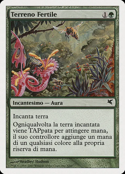 Fertile Ground (Italian) - "Terreno Fertile"