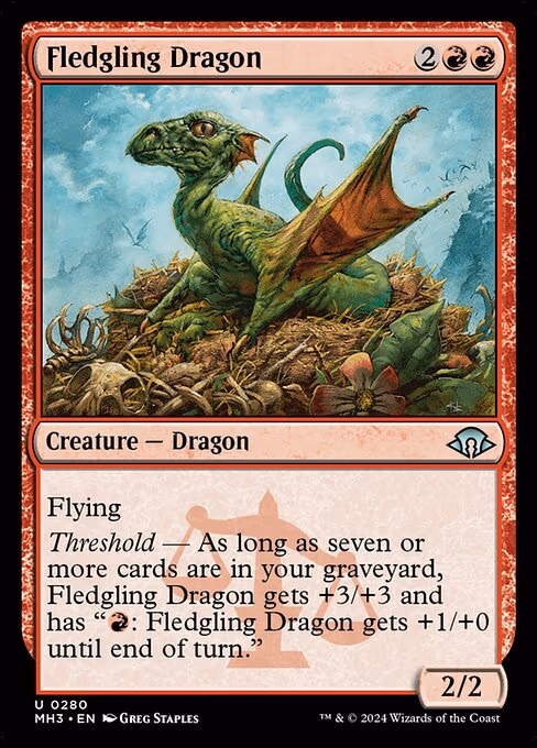 Fledgling Dragon