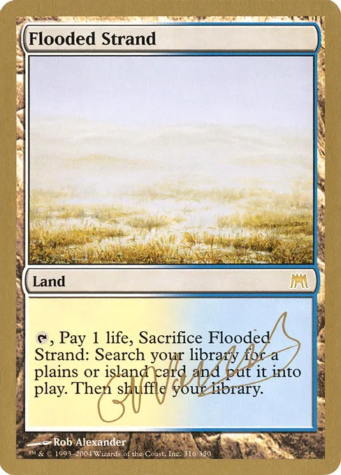 Flooded Strand - 2004 Gabriel Nassif