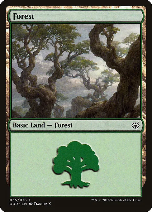 Forest - L (35)