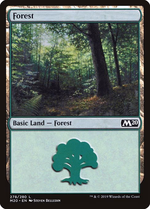 Forest - L (278)