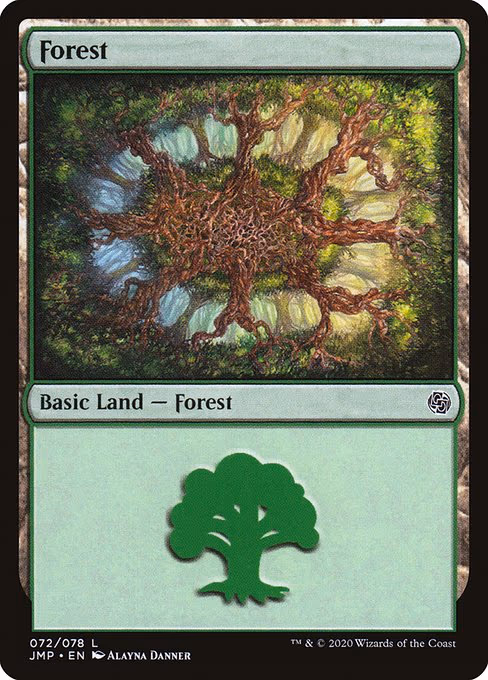 Forest - L (72)