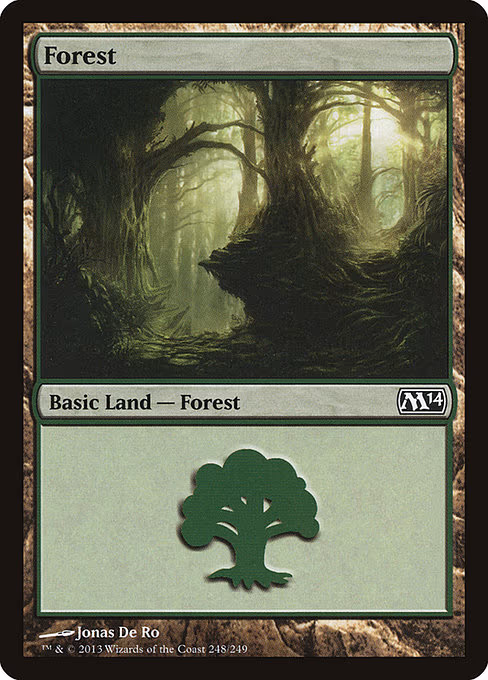 Forest - L (248)