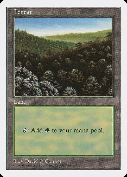 Forest - L (446)