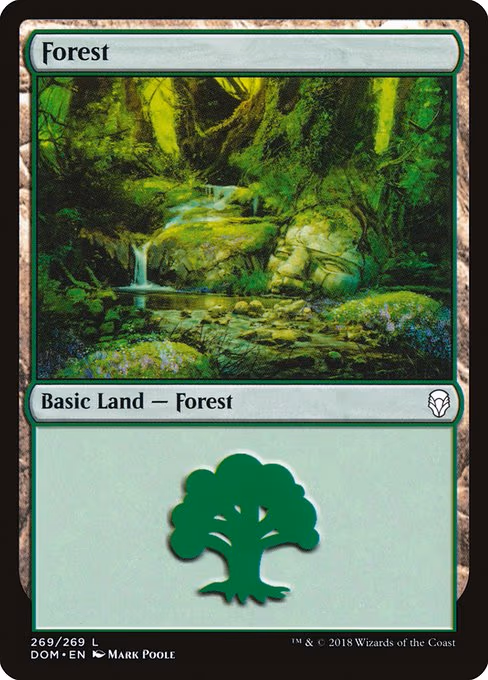Forest - L (269)