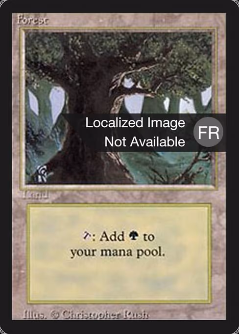 Forest - L (284)