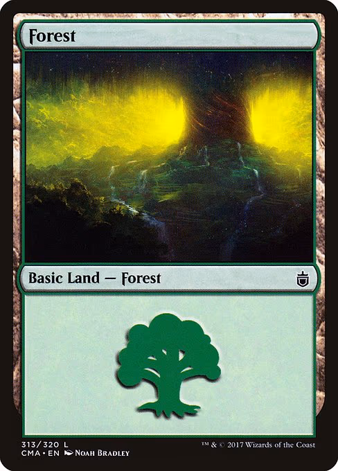 Forest - L (313)