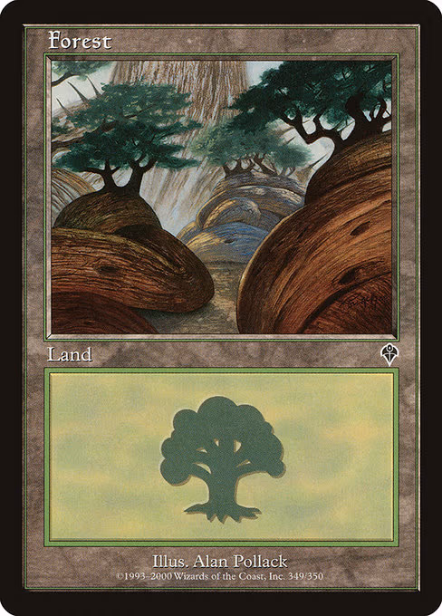 Forest - L (349)