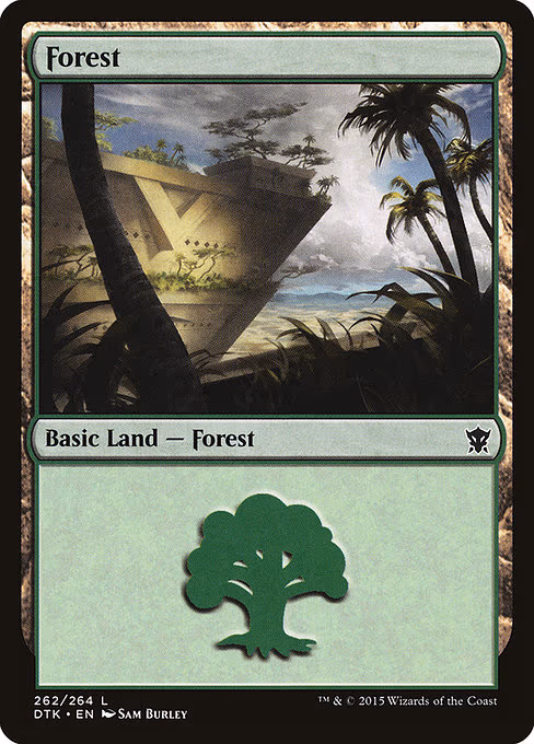 Forest - L (262)