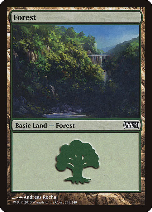 Forest - L (249)