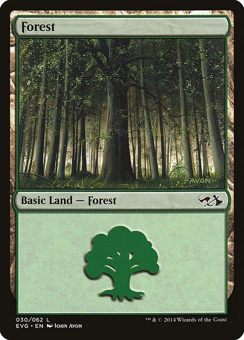 Forest - L (30)